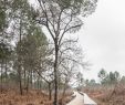 Salon De Jardin Bois Exotique Charmant Olgga Architects atelier Cambium the Plaine Des Sports