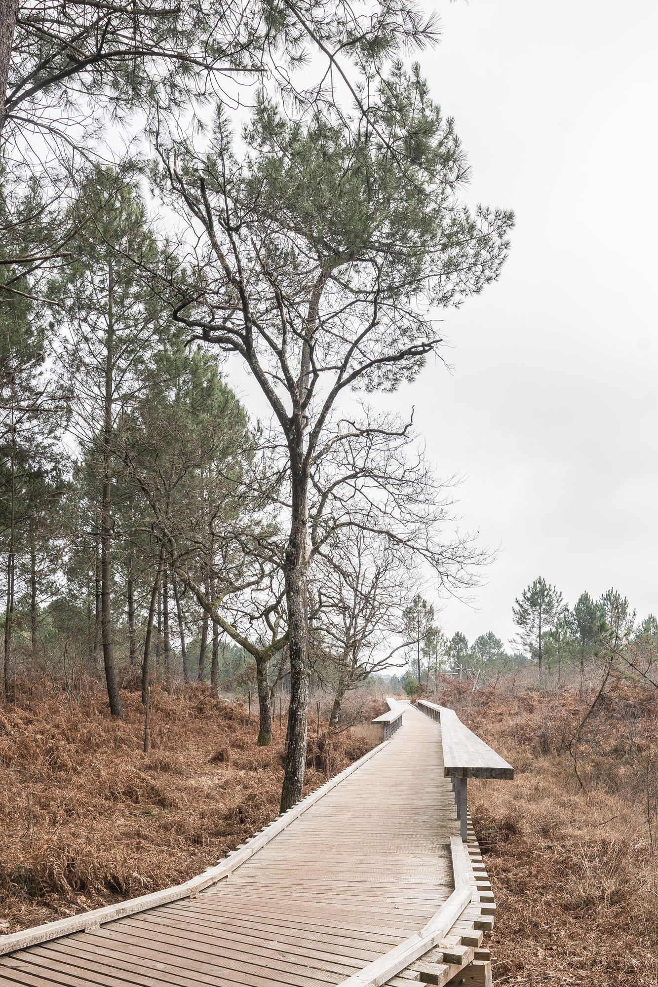 Salon De Jardin Bois Exotique Charmant Olgga Architects atelier Cambium the Plaine Des Sports