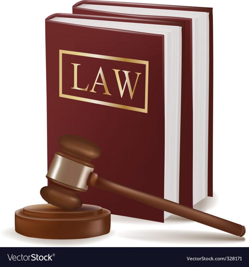 judge gavel and law books vector 953x1024