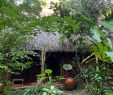 Salon De Jardin Garden Charmant Jardin Du Mekong Homestay $44 $Ì¶6Ì¶1Ì¶ Prices & Guest