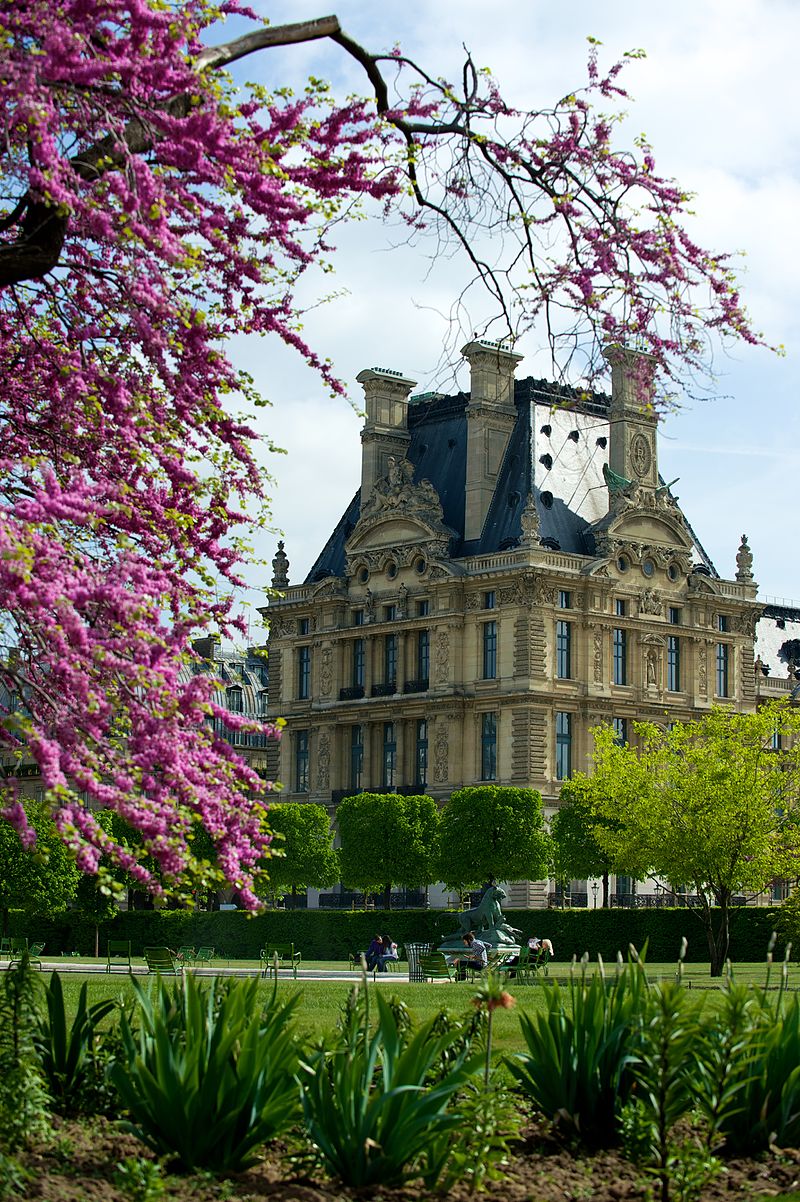 800px Pavillon de Marsan Palais du Louvre Paris 2010