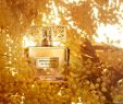Salon De Jardin Gris Clair Inspirant Dahlia Divin Le Nectar De Parfum Givenchy