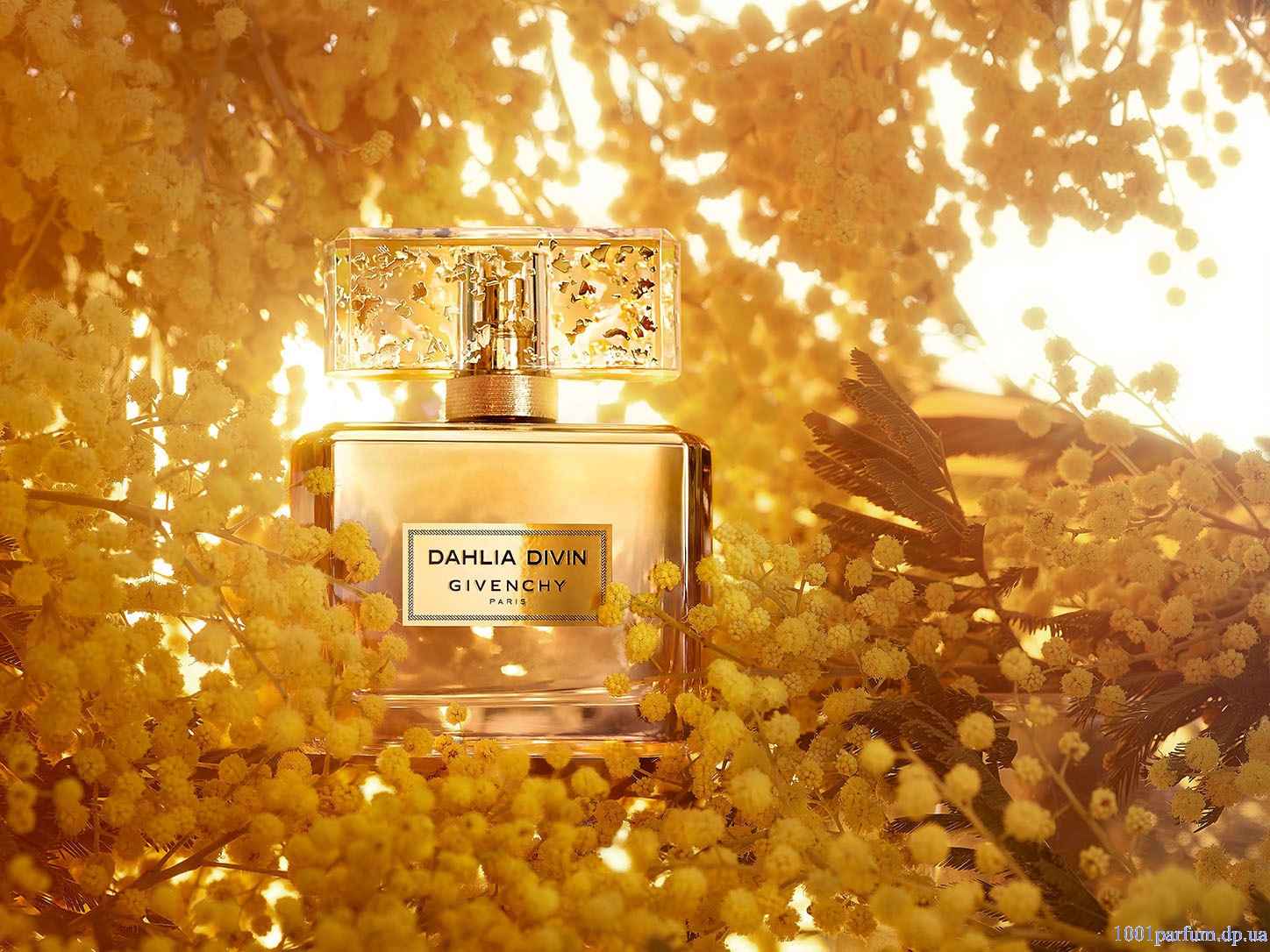 Dahlia Divin Le Nectar de Parfum Givenchy3