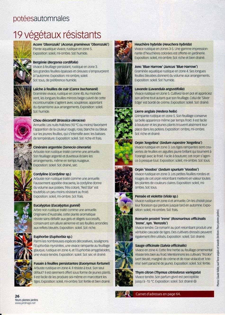 Salon De Jardin Romantique Best Of Liste Des Plantes Résistantes Au Froid D Automne