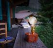 Salon De Jardin Table Beau Timebulb