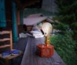 Salon De Jardin Table Beau Timebulb