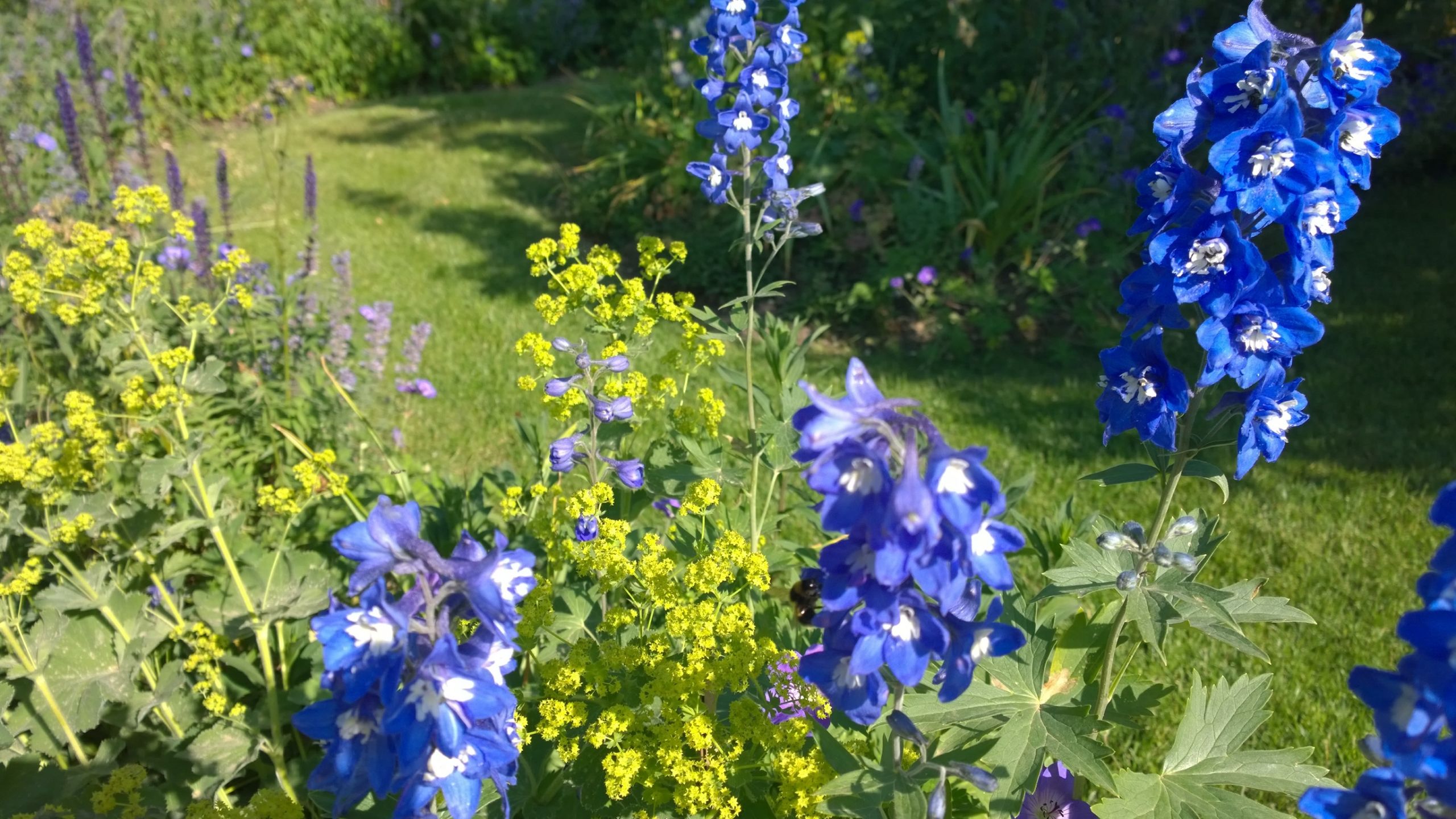 Salon De Jardin Unopiu Luxe Ment Aménager Mon Jardin Cvo94 Napanonprofits