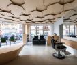 Salon Jardin Design Inspirant Les Dada East Joshua Florquin Architects