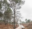 Salon Jardin En Bois Beau Olgga Architects atelier Cambium the Plaine Des Sports