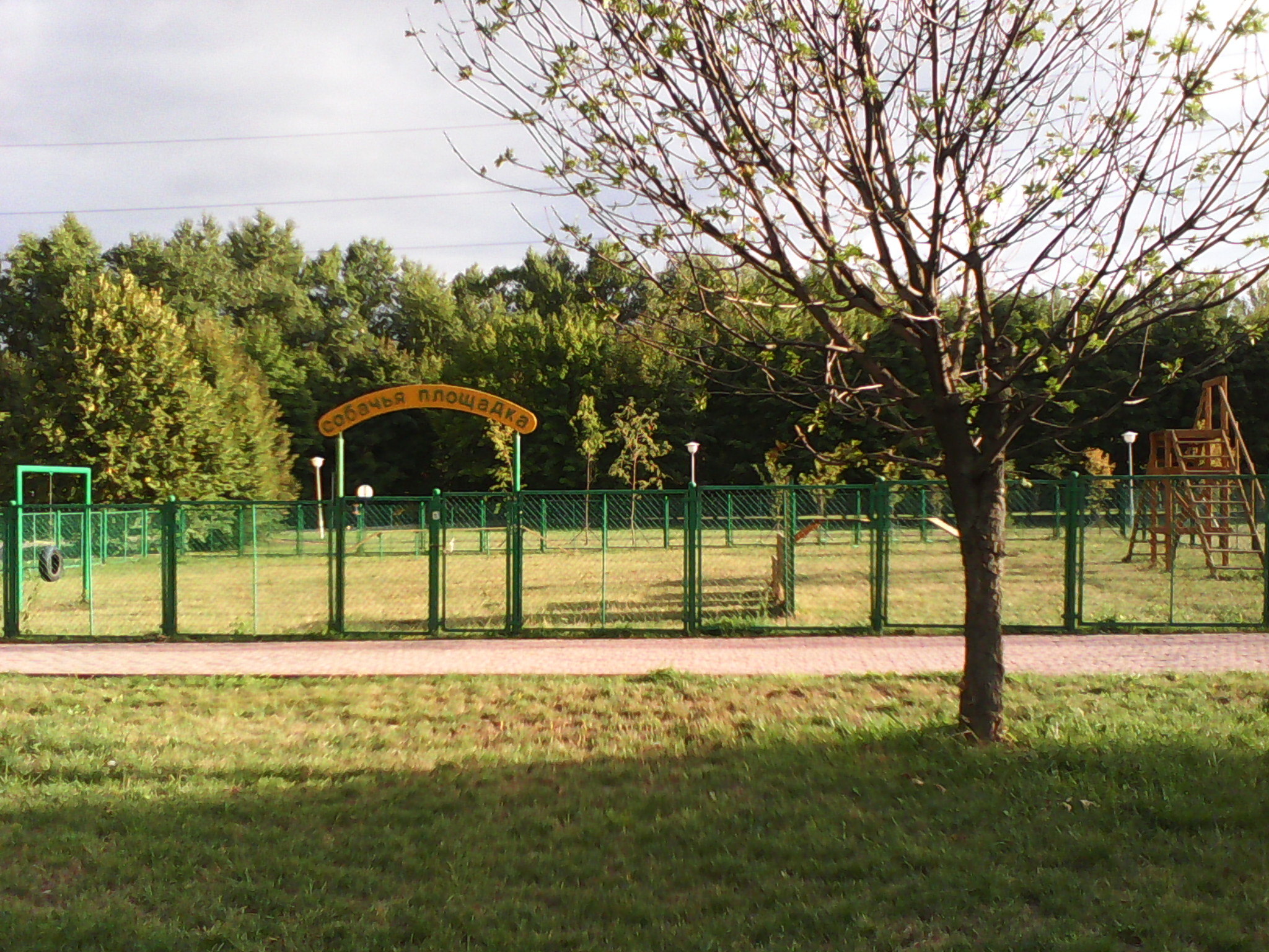 Dog playground in Moscow Moskvorechye Saburovo district