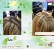 Salon Jardin Tresse Frais 55 Image De Coiffure