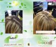 Salon Jardin Tresse Frais 55 Image De Coiffure