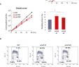 Service Client Leclerc Drive Nouveau Smc5 6 Acts Jointly with Fanconi Anemia Factors to Support