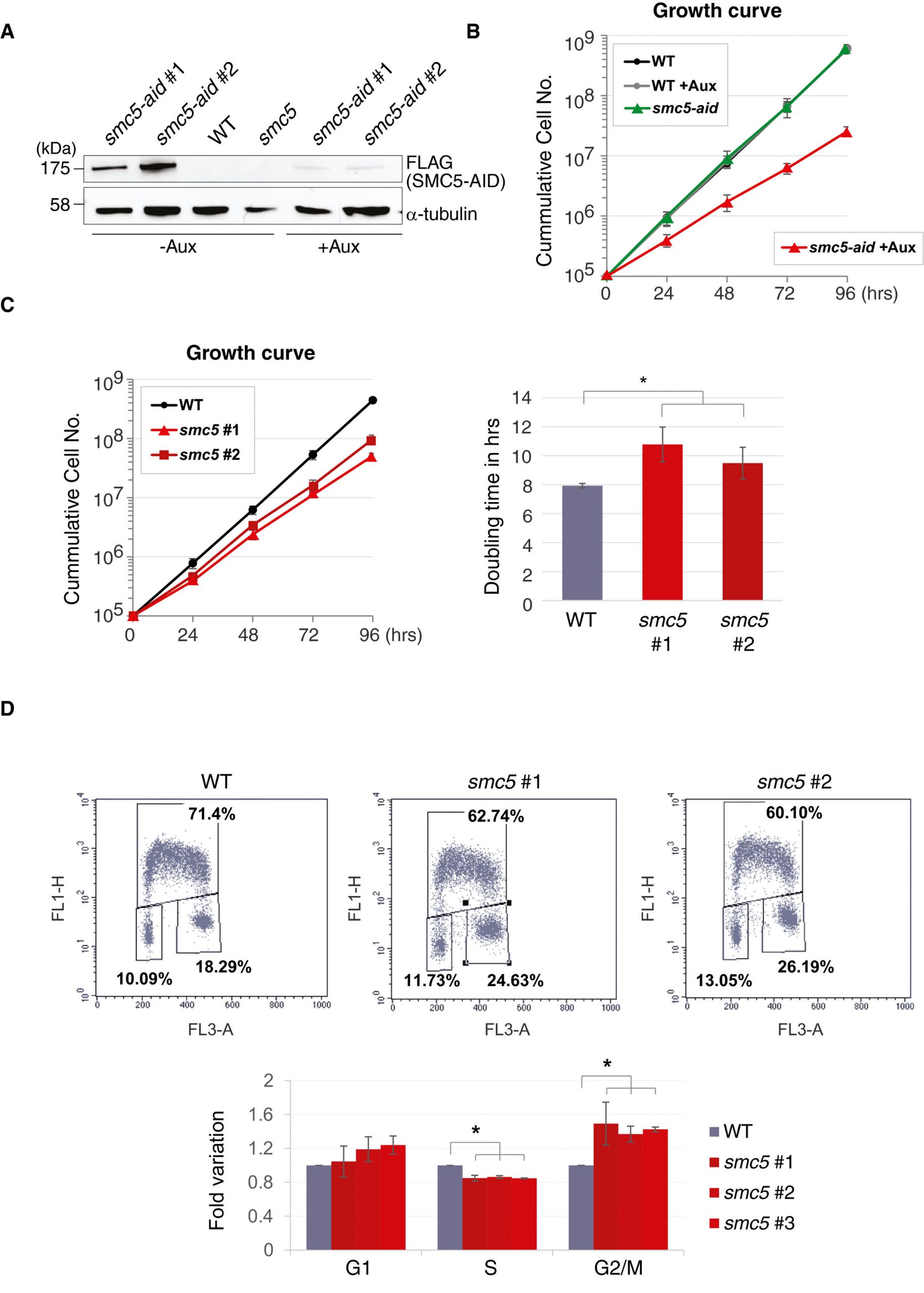 Service Client Leclerc Drive Nouveau Smc5 6 Acts Jointly with Fanconi Anemia Factors to Support