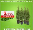 Solde Salon De Jardin Leroy Merlin Nouveau Lit Leroy Merlin