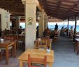 Table Bar Jardin Inspirant Cala Xarraca ÐÐ¾ÑÑÐ¸Ð½Ð°ÑÑ Ð ÑÑÑÐ¸Ðµ ÑÐ¾Ð²ÐµÑÑ Ð¿ÐµÑÐµÐ´ Ð¿Ð¾ÑÐµÑÐµÐ½Ð¸ÐµÐ¼