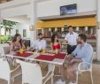 Table Bar Jardin Unique ÐÑÐµÐ Ð¸ ÐÑÐ±Ð° Playa Paraiso 4 Pegas touristik