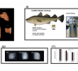 Table Basse D Angle Frais Sub Sessions Ix Sy15 3d Structures In Tissue Engineering