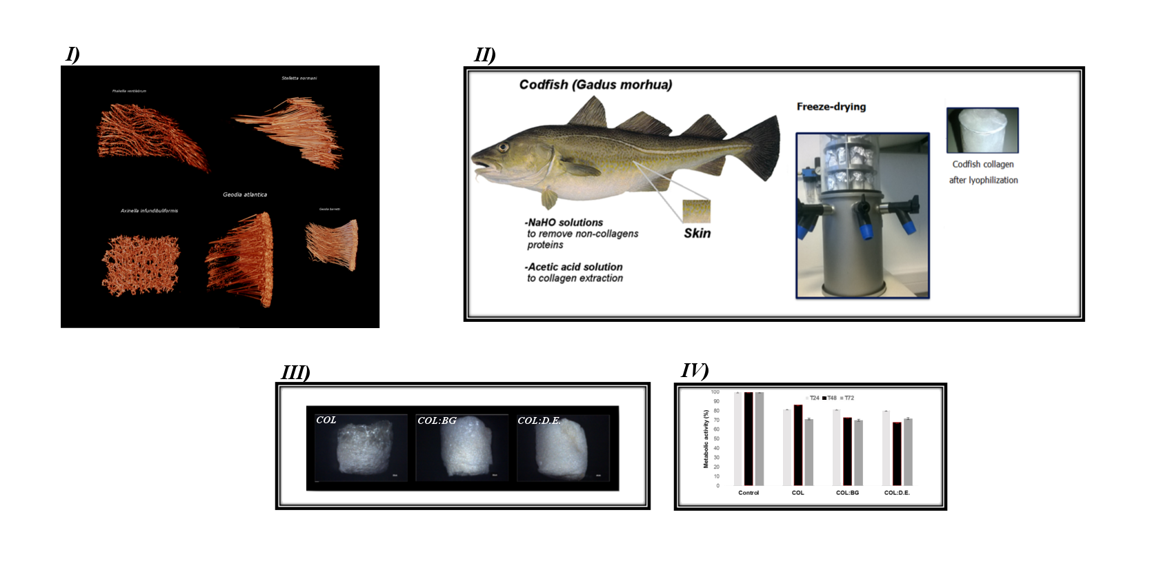 Table Basse D Angle Frais Sub Sessions Ix Sy15 3d Structures In Tissue Engineering