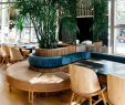 Table Basse Salon De Jardin Luxe Restaurants Kokteil Bar S