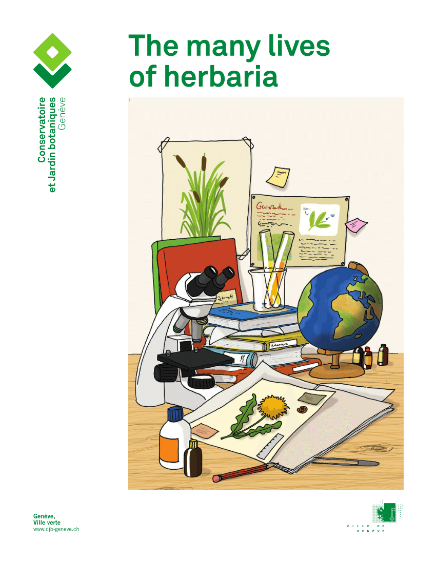 Table Bois Jardin Inspirant Pdf the Many Lives Of Herbaria