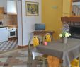 Table Bois Jardin Luxe Holiday Rental Cottage Auchy Les orchies nord north Pas
