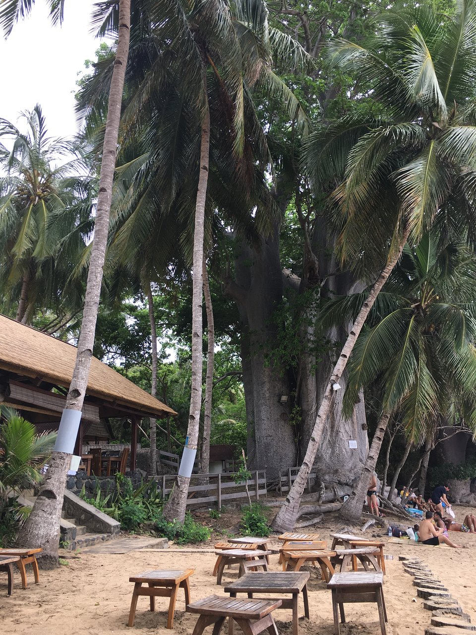 Table De Jardin 6 Personnes Nouveau Le Jardin Maore Hotel Mayotte Chirongui Tarifs 2020 Mis