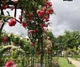 Table De Jardin Avec Rallonge Best Of Calaméo Le Mag De Villepinte N°41