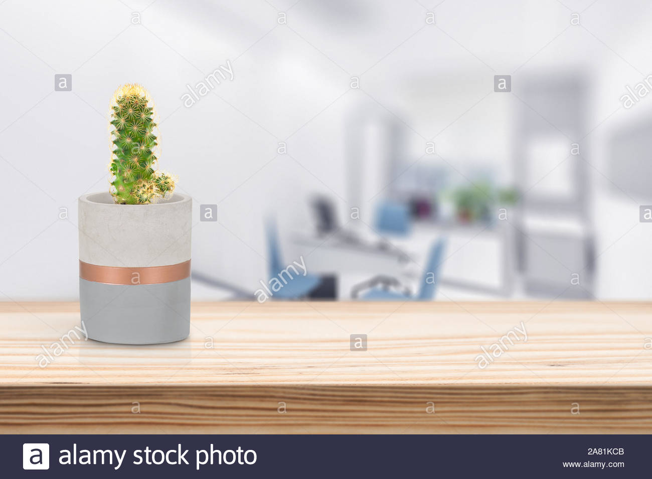 cement vase with cactus on vase pot on table in living room 2A81KCB