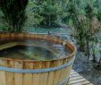 Table De Jardin Composite Nouveau Termas De Aguas Calientes Hot Springs In Chile