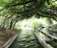 Table De Jardin En Bois Beau Living In Paris France the Good the Bad and the Ugly