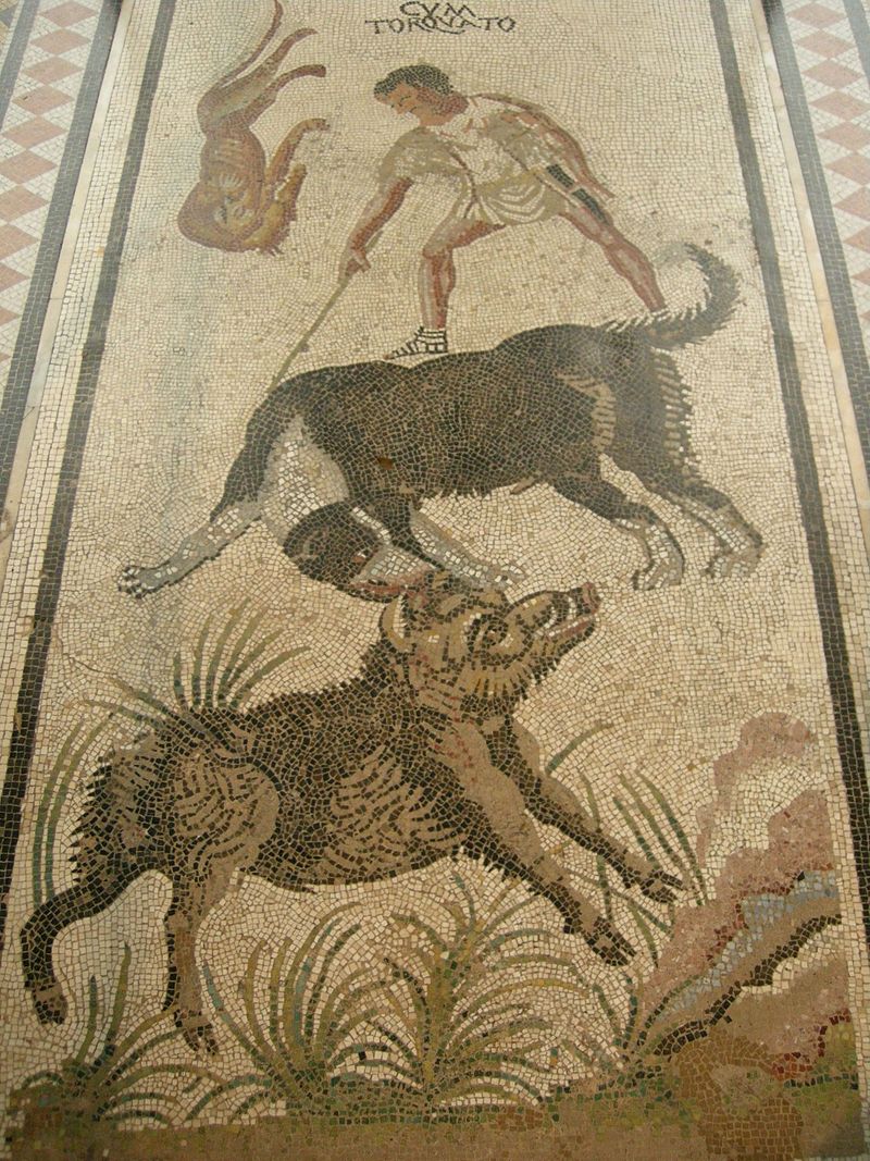 800px Museo condé mosaico romano 02 JPG