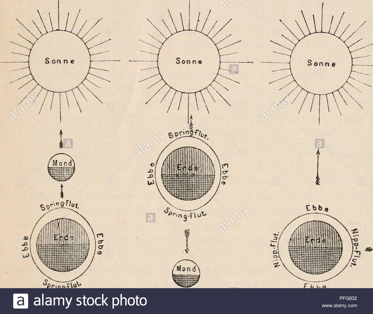 das meer seine erforschung und sein leben ocean marine biology ic ortontatcn unb crtifalcn 58eteguttgcn im socernjafjcr 45 beiben refultierenbe siut innerhalb 12 tunben bar er unterfdteb gtif tt od unb 9tebrigta fer mact ficf auf ben offeuen dgeanen nur meuig bemerfbar er betrgt uacf krmme hti xati 40 cm bei 5cenfion 60 cm bei t dtna 90 cm in bgeorgien 80 cm bewegt fid alfo auf ben offenen sbeltmeeren meift jtifden 05 unb 10 m nber aber nenn bie tutmeke auf groe sanbmaffen unb ii iii quotprin mquot cbbe aifib 12 g jttfteiung ber PFG832