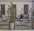 Table De Jardin TressÃ© Génial Restaurants Kokteil Bar S