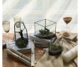 Table De Jardin Verre Beau € 7 0 De Réduction Verre Terrarium Cube Fée Maison De Jardin   Effet De Serre Flowerpot Taille S Dans Pots  Fleurs & Jardini¨res De Maison &