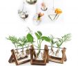 Table De Jardin Verre Luxe Acheter 2018 Creative Stand En Bois En Verre Terrarium Conteneur Hydroponique Planteur Pot De Fleur De Table Vase Diy Bureau  La Maison De Mariage