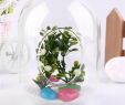 Table De Jardin Verre Unique 1 Pc Super Deal Transparent Vase En Verre Suspendu Terrarium