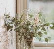 Table Eucalyptus Frais Cell Phone Background Wallpaper Gypsophila and Eucalyptus