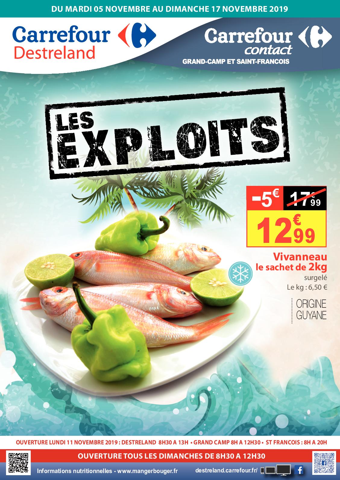 Table Exterieur Carrefour Inspirant Calaméo Catalogue Les Exploits Novembre 2019