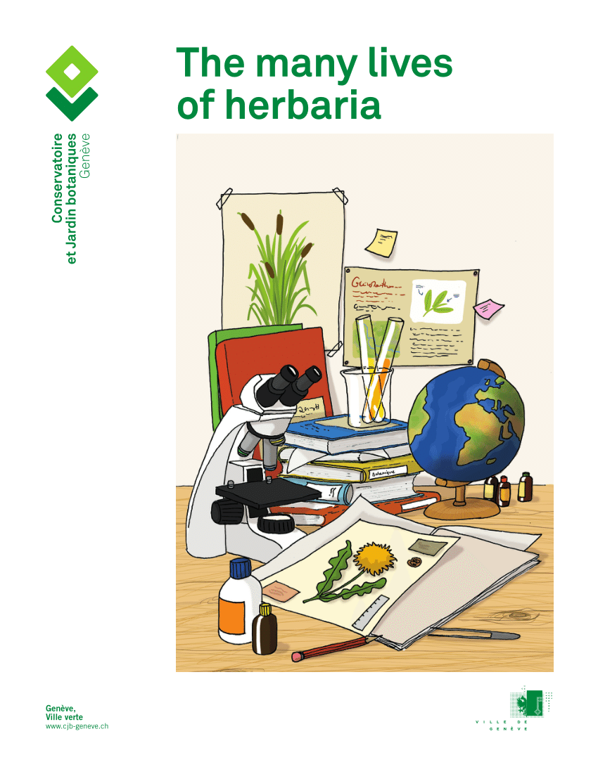 Table Fer Jardin Best Of Pdf the Many Lives Of Herbaria