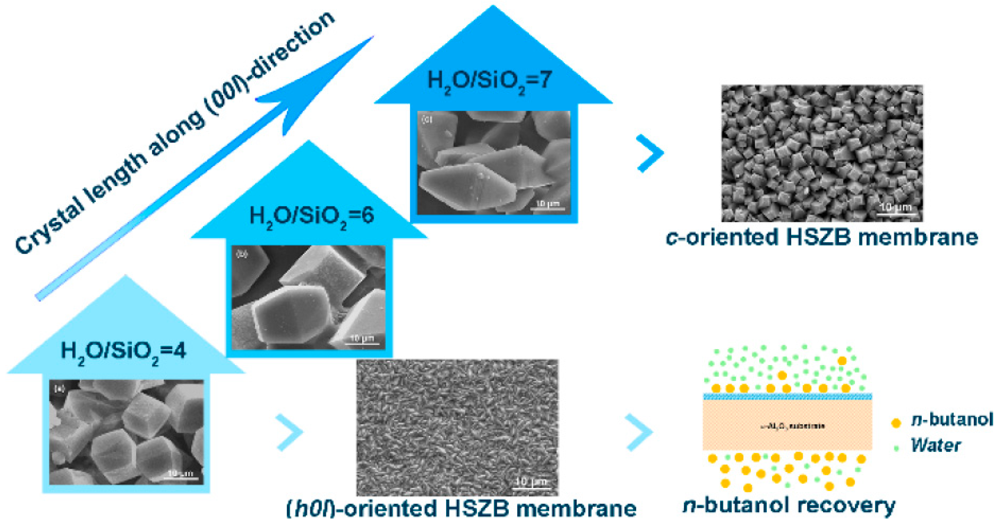 membranes 09 g003