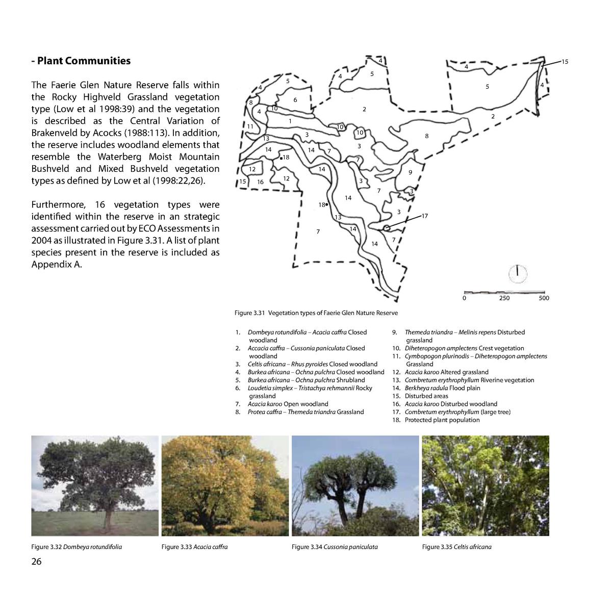 Table Jardin Acacia Génial A Memorable Landscape Simplebooklet