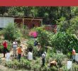 Table Jardin Acacia Génial where People and their Land are Safer A Pendium Of Good