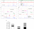 Table Jardin Blanche Nouveau Microorganisms Free Full Text