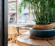 Table Jardin Design Inspirant Restaurants Kokteil Bar S