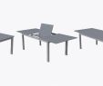 Table Jardin Ovale Charmant Table Ovale Extensible source D Inspiration 25 New Narrow