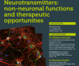 Table Jardin Promo Frais Neurotransmitters Non Neuronal Functions and therapeutic