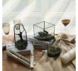 Table Jardin Verre Génial € 7 0 De Réduction Verre Terrarium Cube Fée Maison De Jardin   Effet De Serre Flowerpot Taille S Dans Pots  Fleurs & Jardini¨res De Maison &