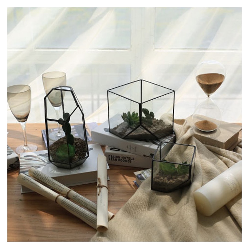 Verre terrarium Cube F e maison de jardin effet de serre flowerpot taille S