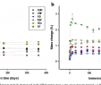 Table Resine Élégant Long Term sorption and solubility Of Bulk Fill and